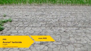 Bare-Ground Trial At The Pontiac, Il, Grow More Experience Site