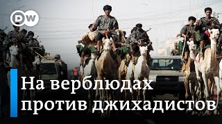 На верблюдах против джихадистов: как мавританские мехаристы патрулируют пустыню