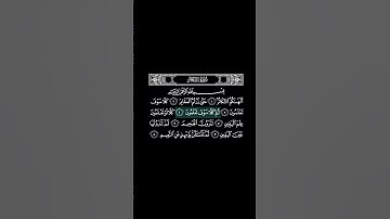 #سورة_التكاثر