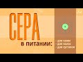 Сера в питании: для суставов, волос и кожи. И не только.