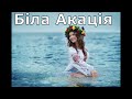 Біла Акація Українська музика 2025 Українські пісні 2025 Хіти 2025