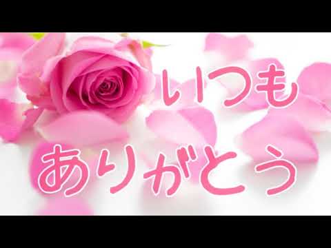 [everysing] 365日の紙飛行機(山本彩)