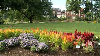Discover Cutler Botanic Garden-Its Free And Open All Year Round