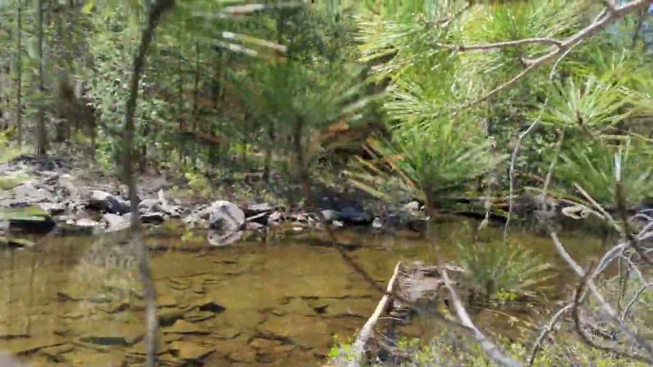 Mississagi Semiwite Creek Trail