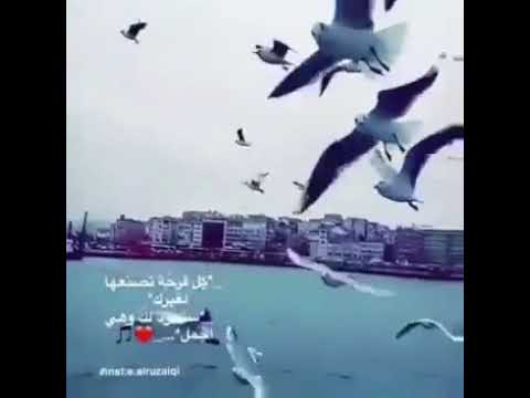 اجمل حالات واتس اب على نغمه ايام في العمر