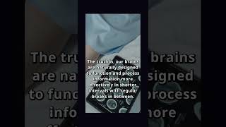 Why 8 Hour Workdays Are Wrong #Shorts