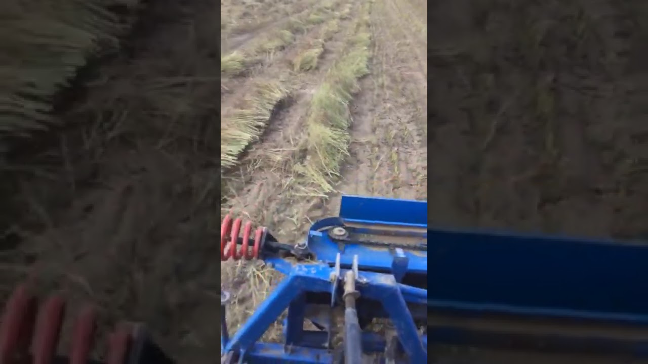 YAPEL DG 140 - DG 180 ANASON HASATI ANKARA - 2