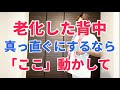 老化して丸くなった猫背の背中を正しく真っ直ぐにしたいなら、100%固まっている「ある部分」を徹底的に動かしてください！