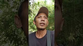 cek spot mancing yang dulu #mancing #fishing #spotmancing