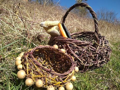 Vidéo: Saule cassant - un arbre pleureur qui peut apporter de la joie aux gens