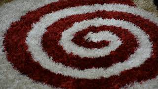 Hand Tufted Shag Polyester Area Rug