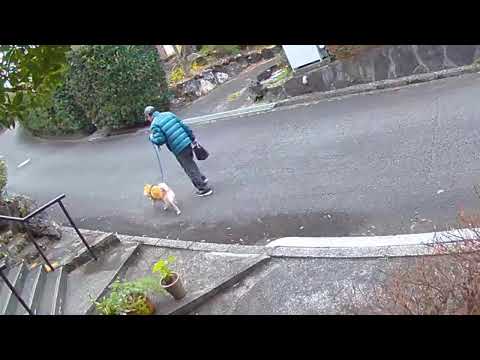 EDR February #3 2020 Repdigit Number Plate Appeared