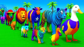 Long Slide Game With Cow Elephant Gorilla Hippopotamus Tiger 3D Animal Game Funny 3D Animals