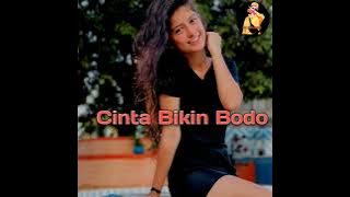 LAGU ACARA TERBARU 🍁Cinta Bikin Bodo 🍁(@ombheremixer2236 )