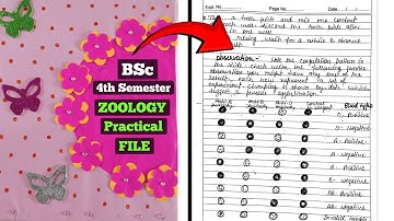 Zoology practical file//B.Sc. second year Fourth semester//बीएससी 4th सेमेस्टर की फाइल कैसे बनाएं ?