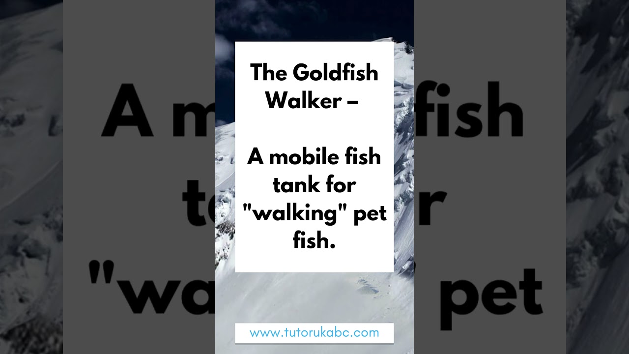 🤯🔧 Weird and Wonderful: 50 Odd Inventions That Changed Lives 🚀✨