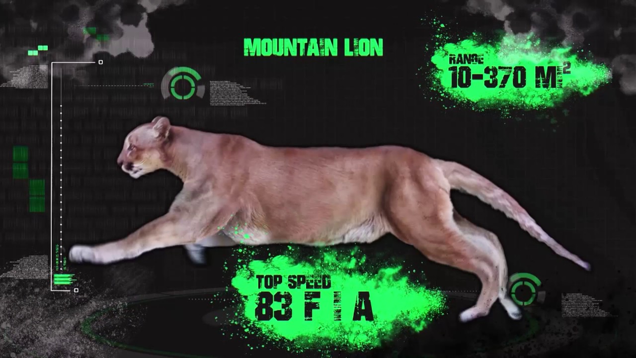 Survival Science Surviving a Mountain Lion Attack Outdoor Channel