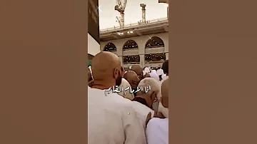 سيأتي يوما نرى مهدينا مستندا الى جدار الكعبة الا يا اهل العالم ستوريات انستا حزينة حالات واتس 