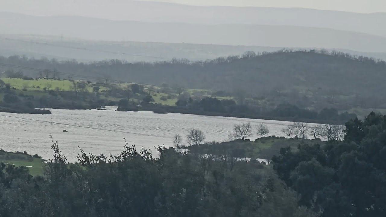 El pantano está que se sale, está difícil echar al ganado.