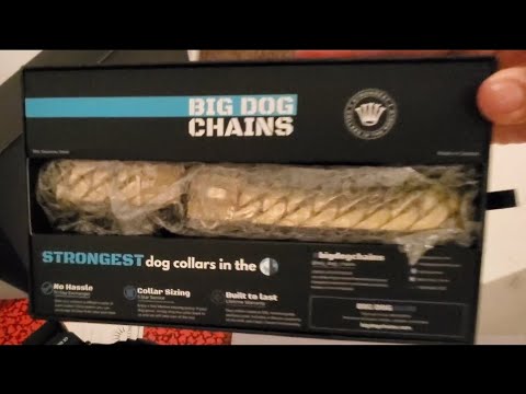 big dog chains review