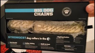 big dog chains gold cuban link collar unboxing and review