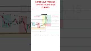 FOREX LIVE TRADING| EURNZD LIVE 70+ PIPS PROFIT