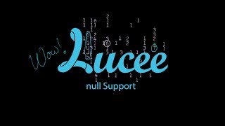 null Support