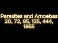 Parasites and Amoebas Frequency Sound Healing Rife Hz