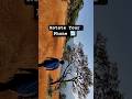 Edit your Adventure Video Like This 🔥🔥#shortvideo #shorts #short #viral #viralshort #viralvideo