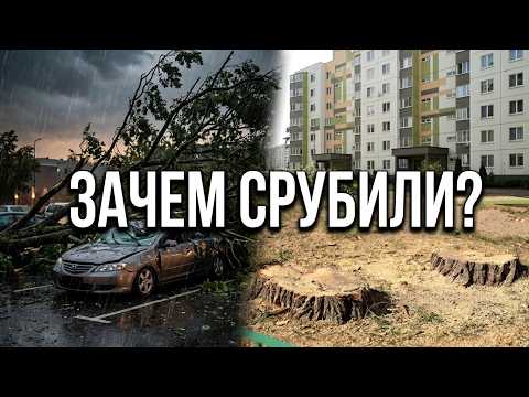 ЗАЧЕМ СРУБИЛИ ДЕРЕВЬЯ?
