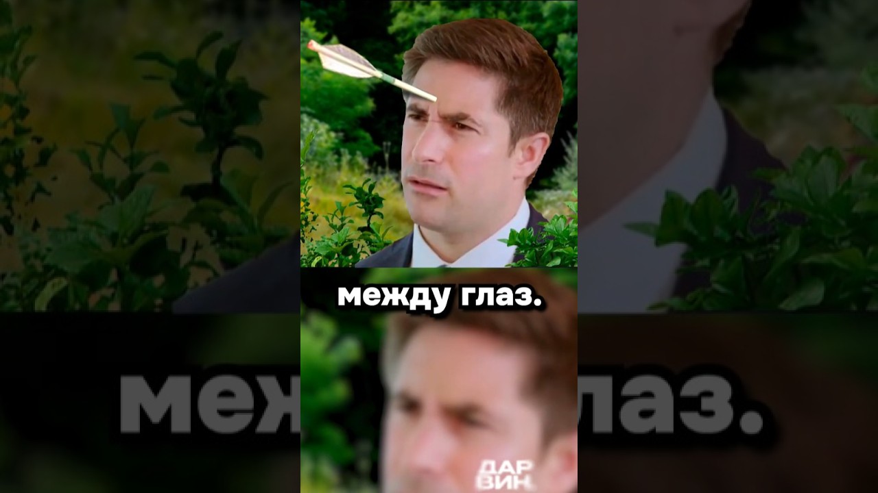 Встретились как то два гения