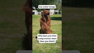 Eco-Friendly Pet Care Tips | Sustainable Dog Hacks-Eco Tips for Dog Owners | GoEcoPaw Hacks