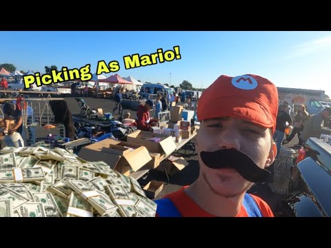 Picking and Selling at the Flea Market as Mario