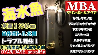 【MBA／DIYマリンボトルアクア】    底面吹上式海水水槽の立上げから１３５日経過して水中ポンプのトラブル発見！／カクレクマノミ、アミメチョウチョウオ、ヤエヤマギンポ、ユリヤッコ