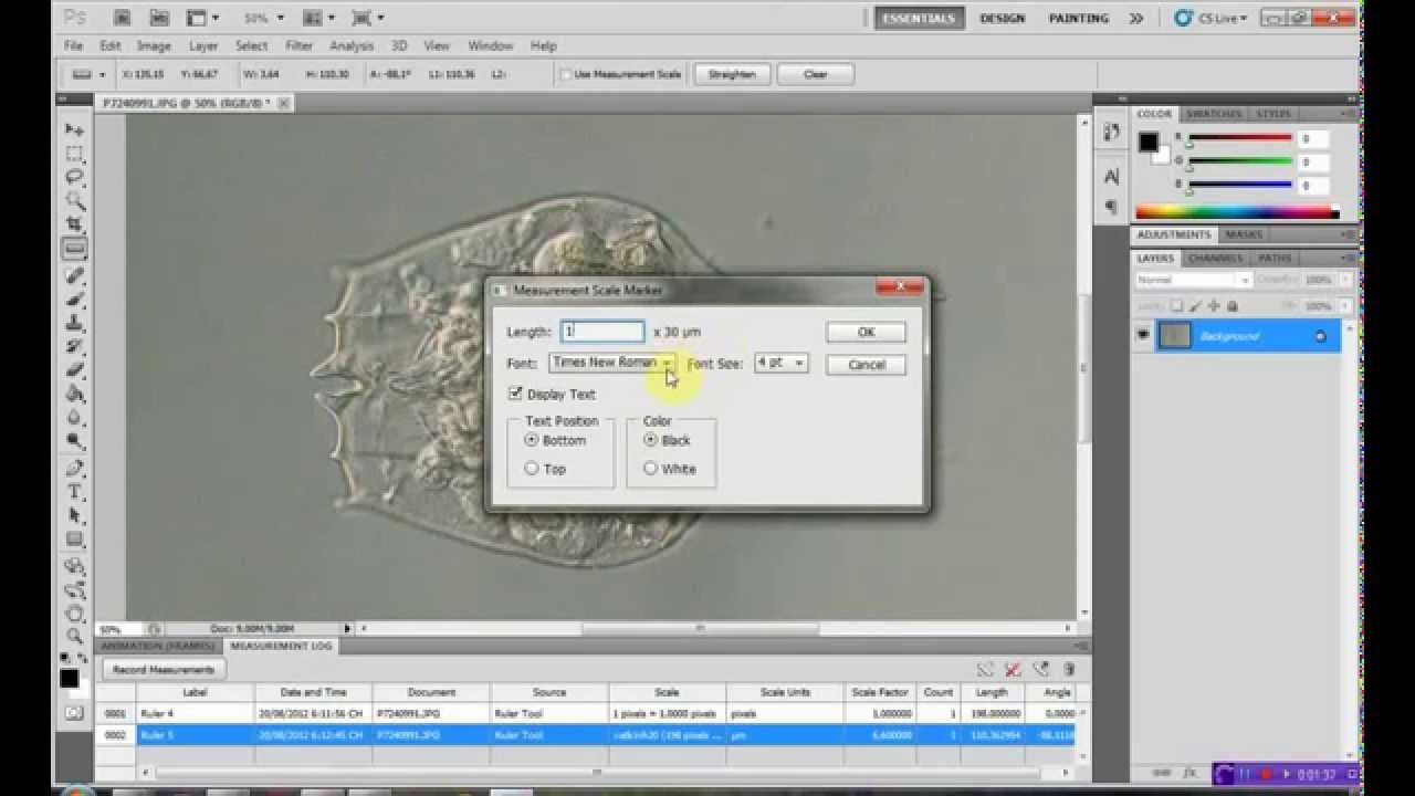 adding scale bar in imagej adding scale bar in imagej