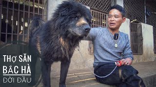 T2: "Thợ Săn" Chó Bắc Hà - Đời Đầu trên Vùng Cao Nguyên Trắng/ NhamTuatTV - Dog in Vietnam