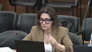 29-04-2026 | Audição do Diretor executivo do Serviço Nacional de Saúde | Irene Costa 2ª