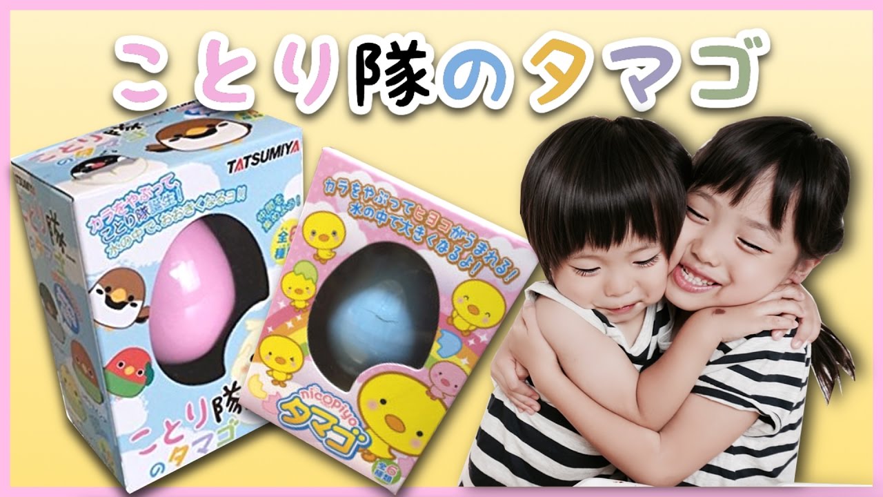 やっと産まれた〜！ことり隊のタマゴ&にこぴよたまご かのん