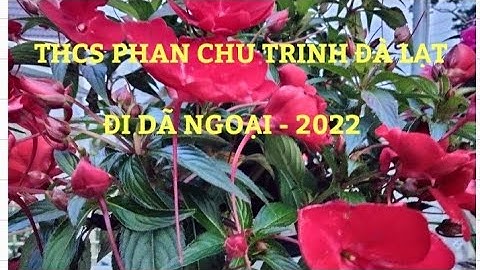 Trường THCS PHAN CHU TRINH ĐÀ LẠT ❤️