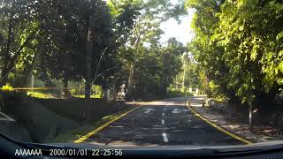 my dashcam - Bukit Gasing monkeys having fun during the MCO