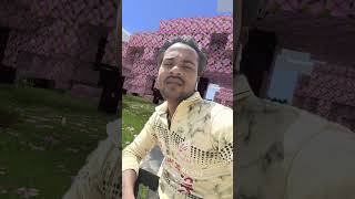 Hd Sp N Tr V Bn Te Sp Nu D