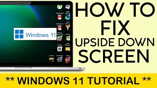 How to Solve Problem If Windows 11 Screen is Upside Down | Display Oreintation Issue Windows 11 2024