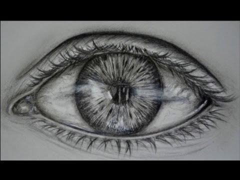 Vídeo: Com Dibuixar Un Iris