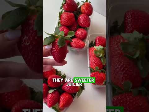 The 3-Week Strawberry Window Millions Wait For (And Why Store-Bought Fails) ⏳
