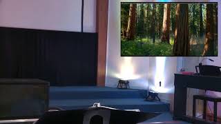 "WHY the Resurrection Matters Today: Easter 2025"- CCLI#11414866