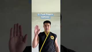 Cobra Kai Tutorial  Terry Silvers Silver Bullet Strike  Unless youre professionally trained, do NOT