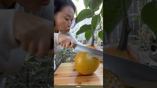 Fruit Cutting | Satisfying Sounds | Relaxing Farm Fresh