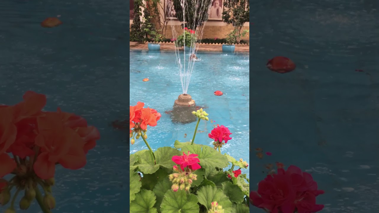 Tehran،(Iran)  ♥️Modares House♥️