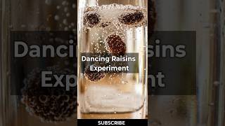 dancing raisins experiment