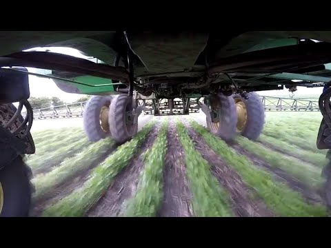 Our Last Day of Spraying